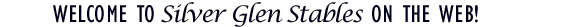 Welcome to Silver Glen on the Web